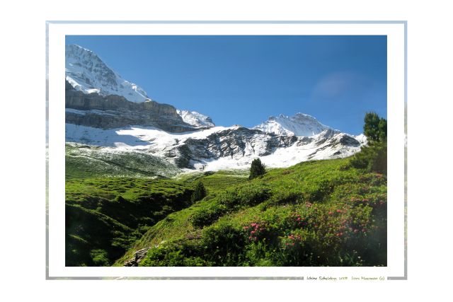 Berglandschap met kader