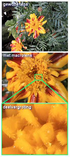 Voorbeeld voorzetlens